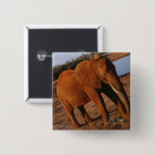 ビッグレッド 缶バッジ (正面&裏面)