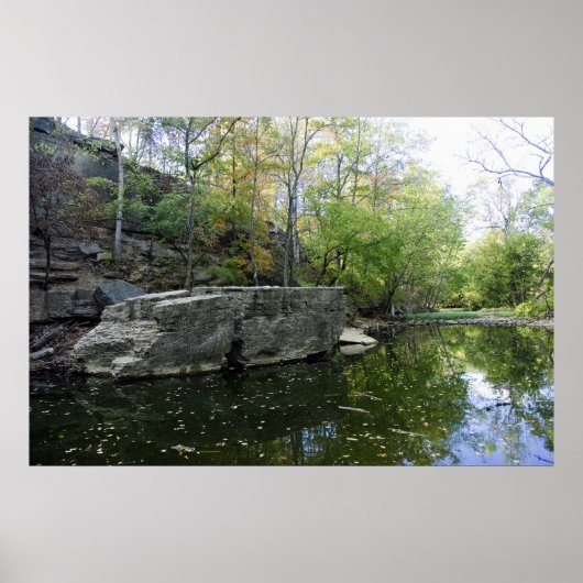 ビッグロック2010 ポスター (正面)