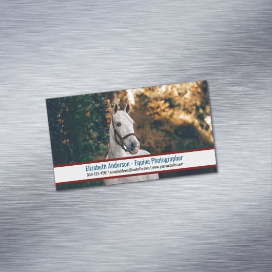 ビッグ写真ウマ科の写真家名刺マグネット マグネット名刺 (インサイチュ)