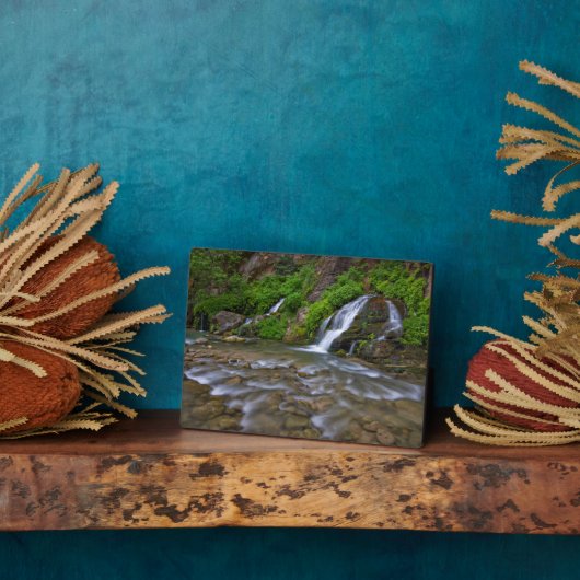 ビッグ春ヴァージンリバー | Zion国立公園 フォトプラーク (側面)