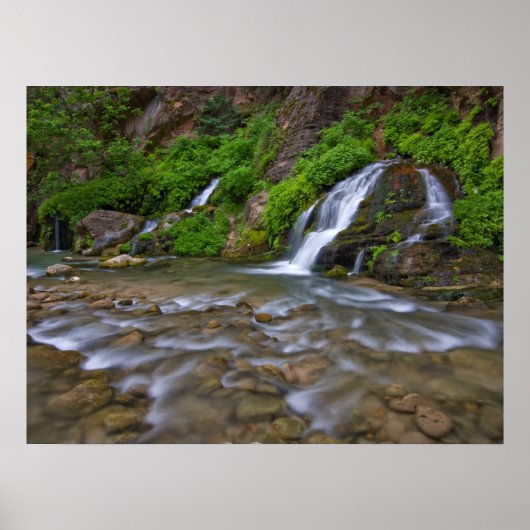 ビッグ春ヴァージンリバー | Zion国立公園 ポスター (正面)