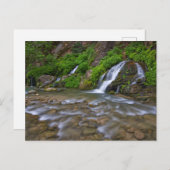 ビッグ春ヴァージンリバー | Zion国立公園 ポストカード (正面/裏面)