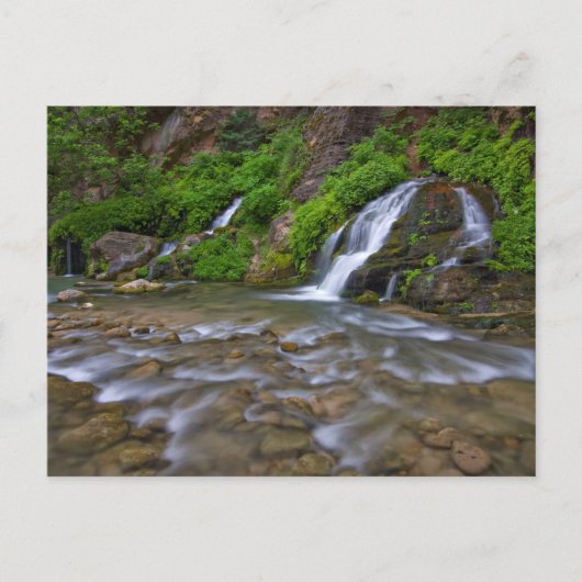 ビッグ春ヴァージンリバー | Zion国立公園 ポストカード (正面)