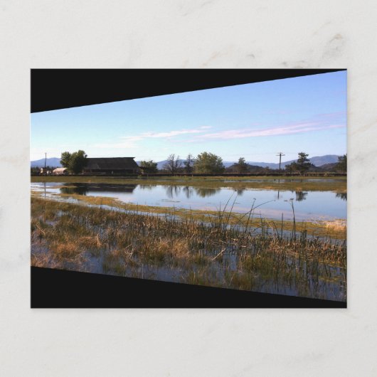 ビッグ春 ポストカード (正面)