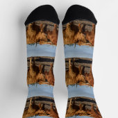 ビッグ茶色の高地の牛、クルーソックス ソックス (上部)