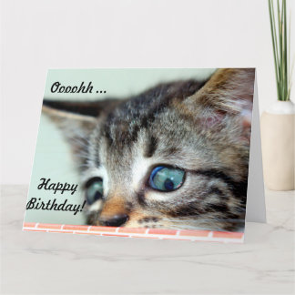 ビッグ誕生日カードかわいい子猫がハッピーバースデーと言う カード