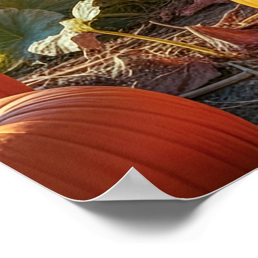 ビッグ・オレンジ ポスター (角)