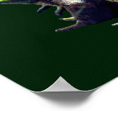 ビッグ・オールド・ブルガエル・自然 ポスター (角)