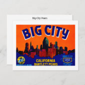 ビッグ・シティ・梨 ポストカード (正面/裏面)