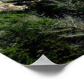 ビッグ・シュルのポスター ポスター (角)