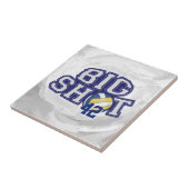 ビッグ・ショット・バレーボール タイル (側面)