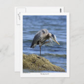 「ビッグ・スクラッチ」ポストカード ポストカード (正面/裏面)