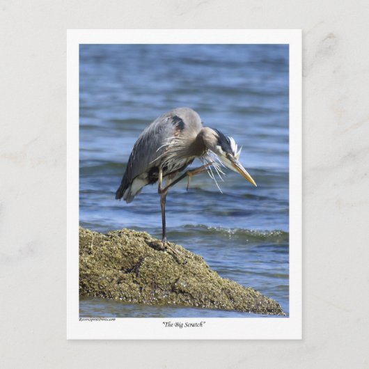 「ビッグ・スクラッチ」ポストカード ポストカード (正面)