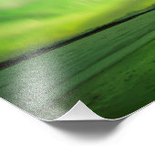 ビッグ・スシタオーロラ フォトプリント            (角)