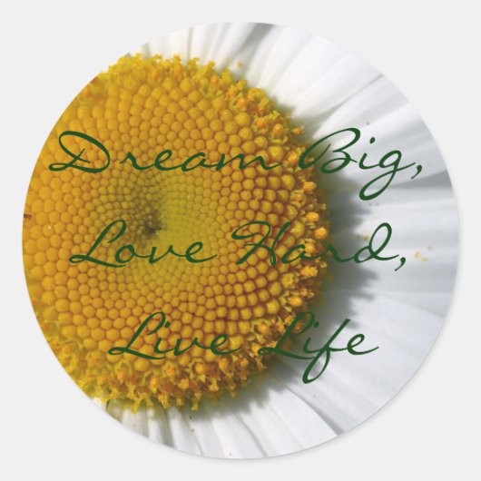 ビッグ・ステッカーの夢 ラウンドシール (正面)