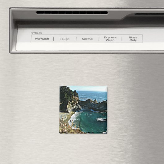 ビッグ・スル マグネット (インサイチュ (食洗機))