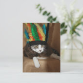 ビッグ・チーフ・ミキー ポストカード (スタンド正面)