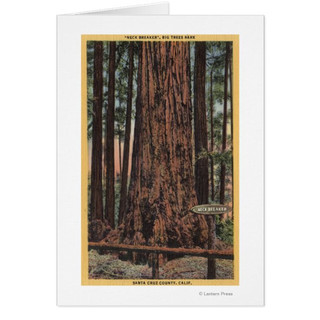 ビッグ・ツリーズ・パークの「ネック・ブレーカー」の景色 (正面)