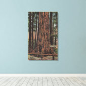 ビッグ・ツリーズ・パークの「ネック・ブレーカー」の景色 キャンバスプリント (インサイチュ (ウッドフロア))