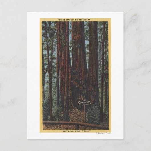 ビッグ・ツリーズ・パークの「三美神」の見解 ポストカード (正面)