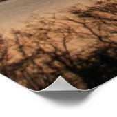 ビッグ・ツリー・ポスター ポスター (角)