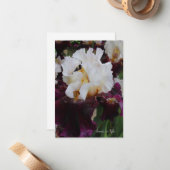 ビッグ・パープル&ホワイト・アイリス ノートカード (正面/裏面インサイチュ)