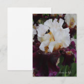 ビッグ・パープル&ホワイト・アイリス ノートカード (正面/裏面)