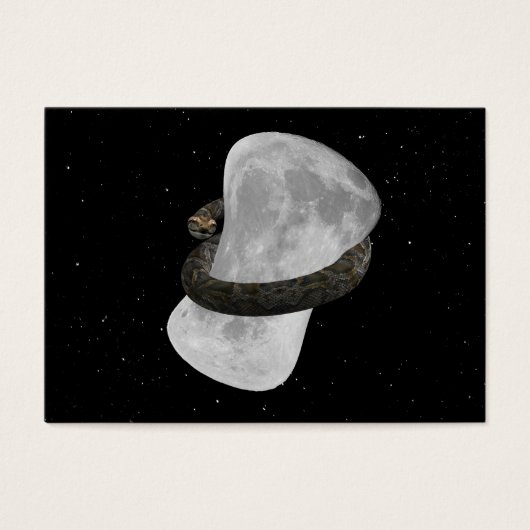 ビッグ・ビッグ・ハグ (正面)