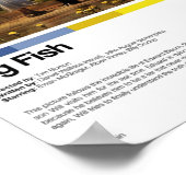 ビッグ・フィッシュ・ムービー・プリント ポスター (角)