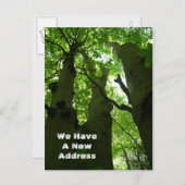 ビッグ・ブナの木夏の森の移動 案内ポストカード (正面/裏面)