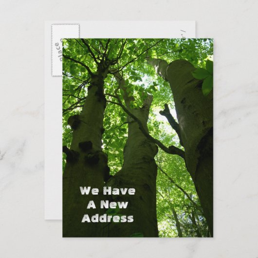 ビッグ・ブナの木夏の森の移動 案内ポストカード (正面/裏面)