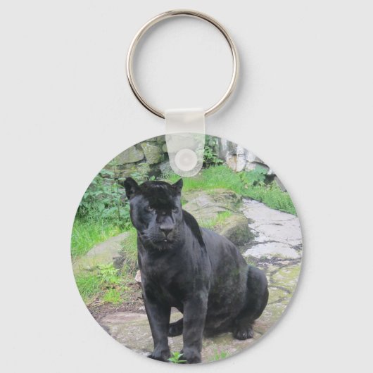 ビッグ・ブラック・ジャガー・キャット・オン・シッター|過去記事 キーホルダー (正面)