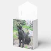 ビッグ・ブラック・ジャガー・キャット・オン・シッター|過去記事 フェイバーボックス (オープン)