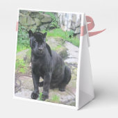 ビッグ・ブラック・ジャガー・キャット・オン・シッター|過去記事 フェイバーボックス (裏面サイド)