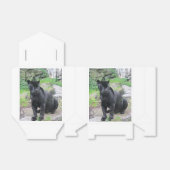 ビッグ・ブラック・ジャガー・キャット・オン・シッター|過去記事 フェイバーボックス (折り畳みなし)