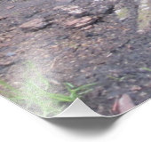 ビッグ・ブラック・ジャガー・キャット・オン・シッター|過去記事 フォトプリント            (角)