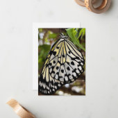 ビッグ・ブラック&ホワイト・バタフライ ノートカード (正面/裏面インサイチュ)