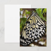 ビッグ・ブラック&ホワイト・バタフライ ノートカード (正面/裏面)