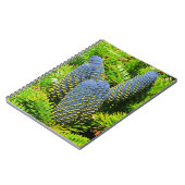 ビッグ・ブルー・コリアモミ・コーン ノートブック (左側)