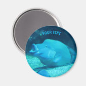 ビッグ・ブルー・フィッシュ マグネット (正面/裏面)