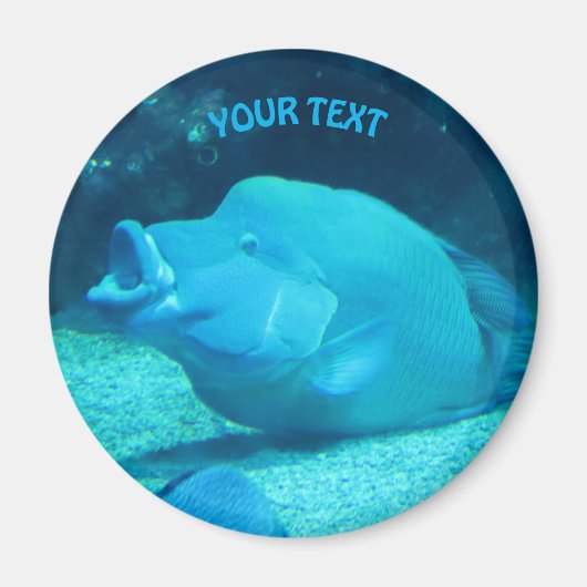 ビッグ・ブルー・フィッシュ マグネット (正面)