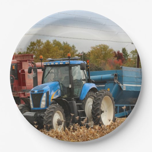 ビッグ・ブルー ペーパープレート (正面)