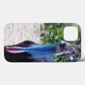 ビッグ・ブルーCassourient鳥、iPhone 13ケース Case-Mate iPhoneケース (裏面 (横))