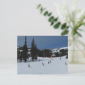 ビッグ・ホワイト・スキーシーン ポストカード (スタンド正面)
