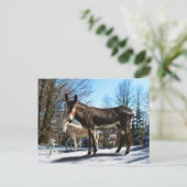 「ビッグ・ボーイ&カンパニー」 ポストカード (スタンド正面)