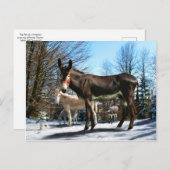 「ビッグ・ボーイ&カンパニー」 ポストカード (正面/裏面)