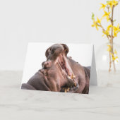 ビッグ・マウス・ヒッポのカード2 カード (黄色い花)