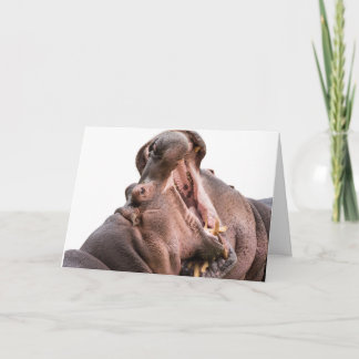 ビッグ・マウス・ヒッポのカード2 カード