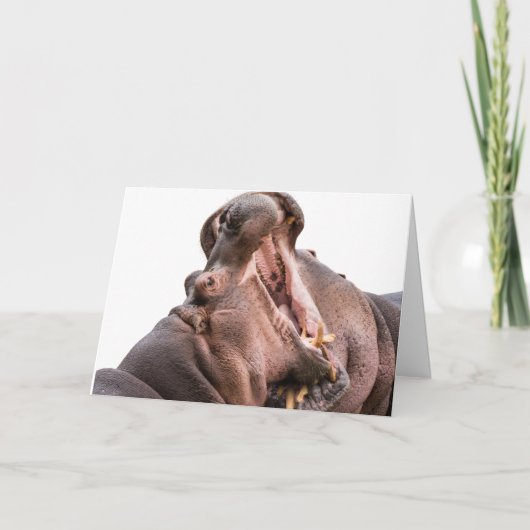 ビッグ・マウス・ヒッポのカード2 カード (正面)