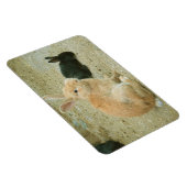 ビッグ・レッド・バニー マグネット (右側)